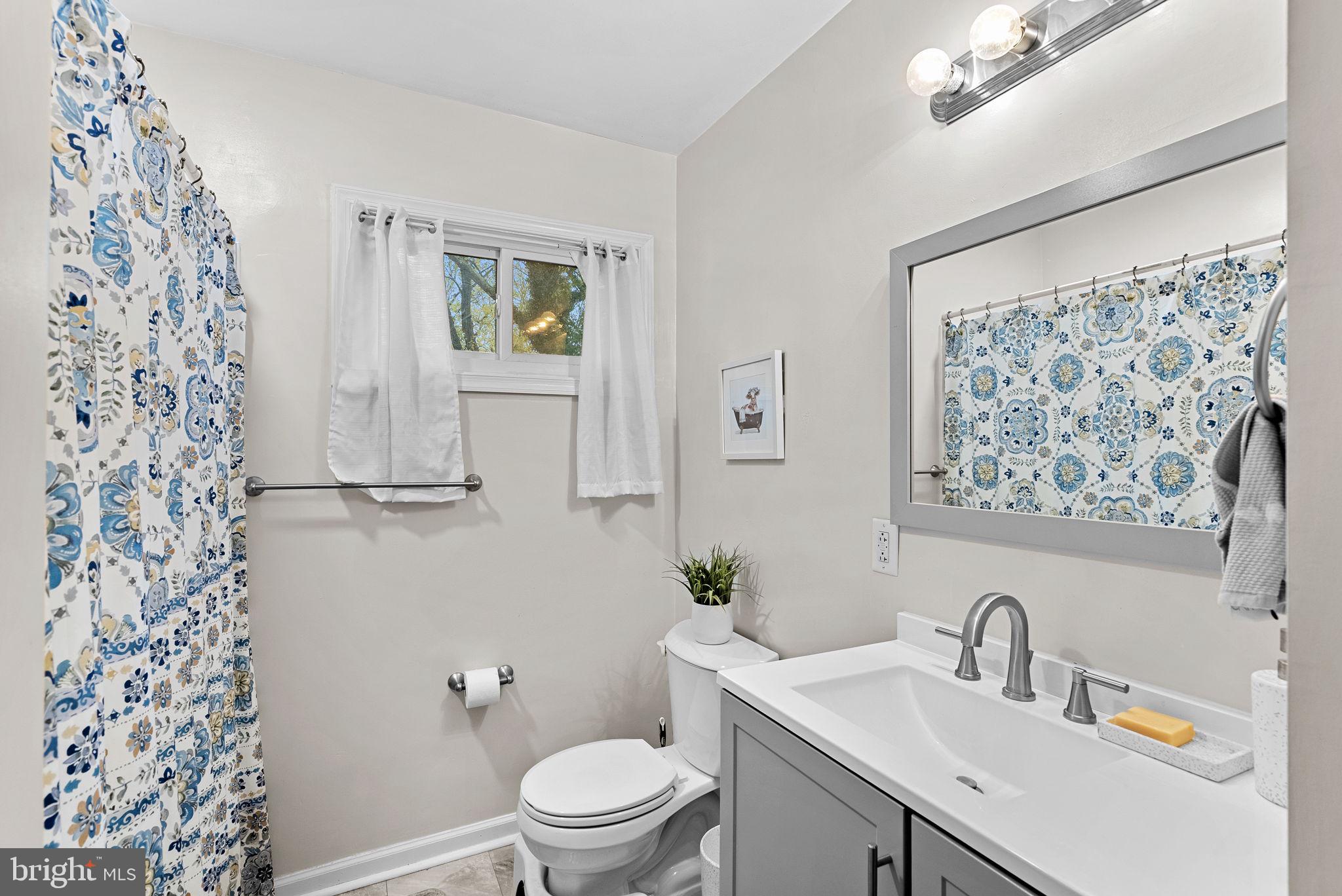 219 Josephine Street Berryville, VA 22611 - Photo 17 of 26 a bathroom with a sink toilet and shower