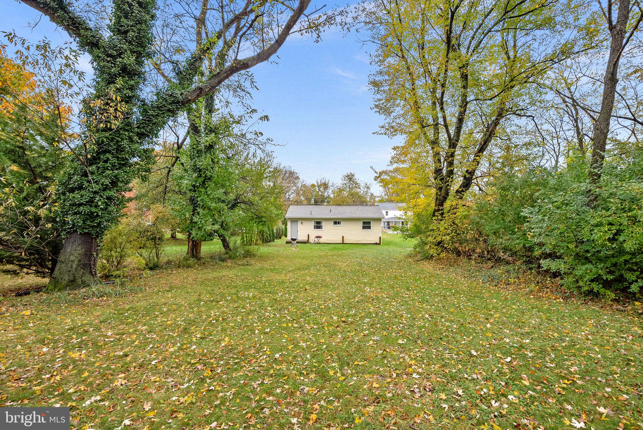 219 Josephine Street Berryville, VA 22611 - Photo 20 of 26 a view of a big yard with large trees
