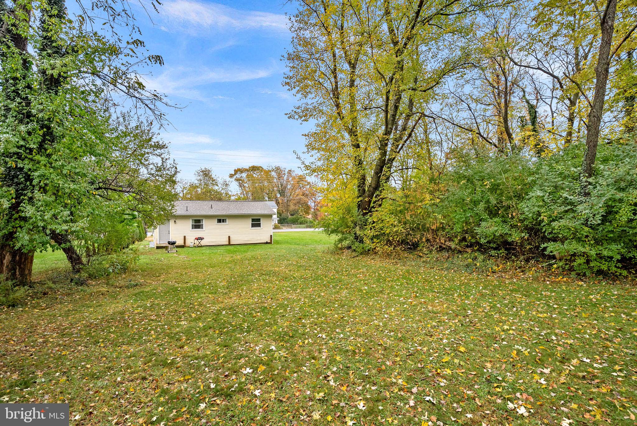 219 Josephine Street Berryville, VA 22611 - Photo 21 of 26 a view of a big yard with plants and large trees