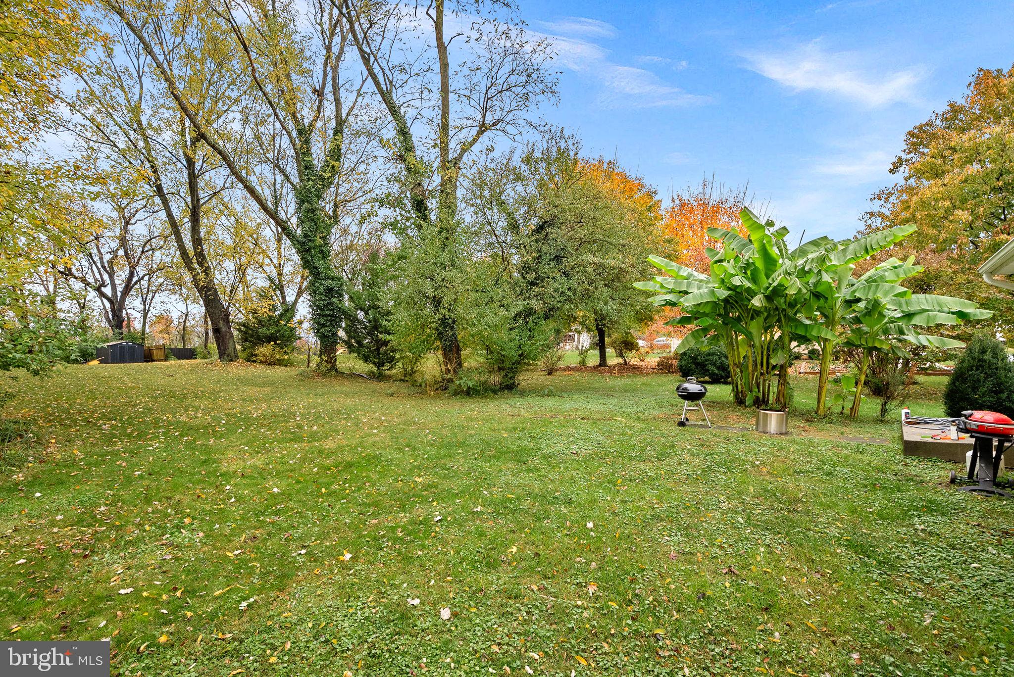 219 Josephine Street Berryville, VA 22611 - Photo 22 of 26 a view of yard with trees