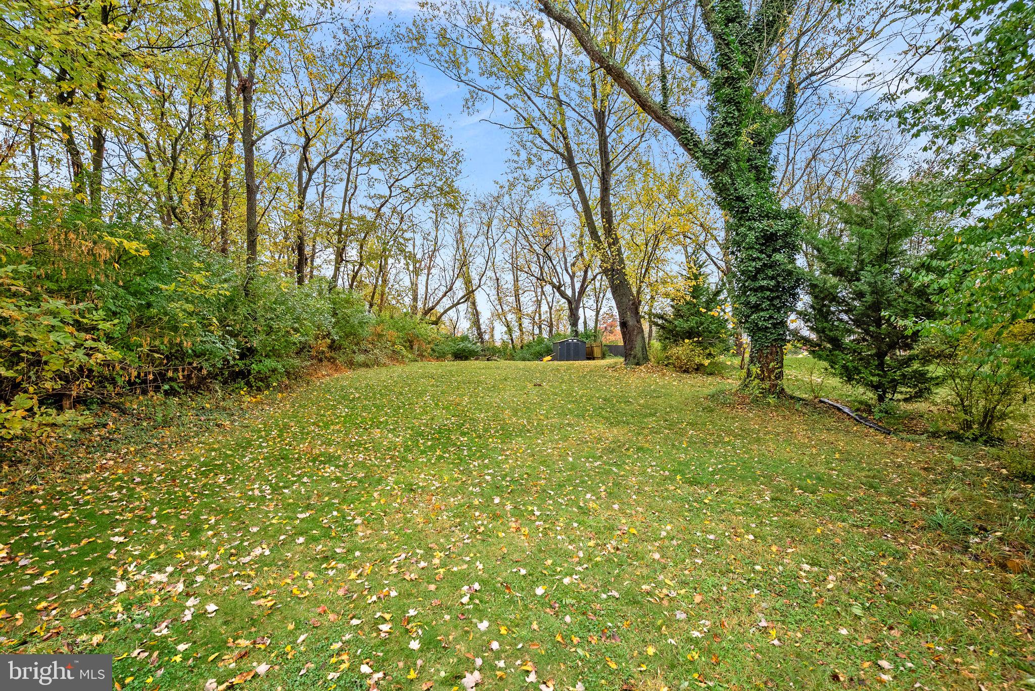 219 Josephine Street Berryville, VA 22611 - Photo 23 of 26 a view of backyard with green space