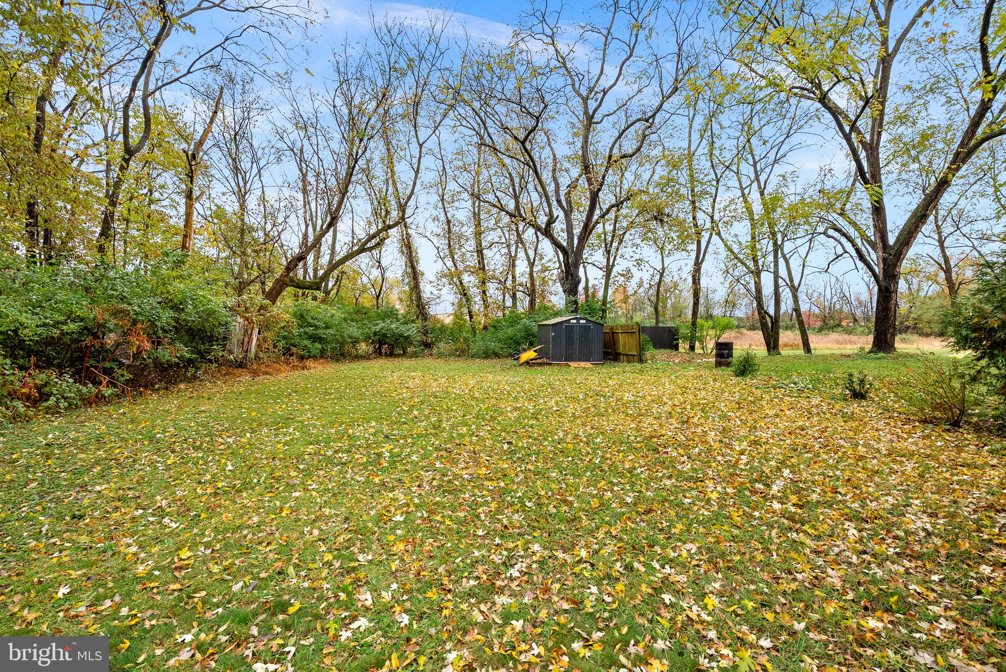 219 Josephine Street Berryville, VA 22611 - Photo 24 of 26 a view of garden with trees