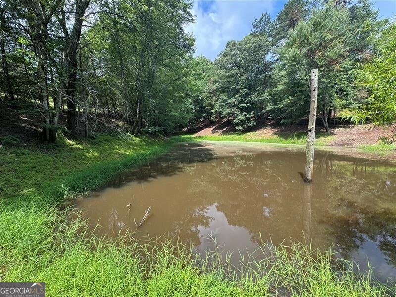 0 Ben Higgins Road Dahlonega, GA 30533 - Photo 20 of 21