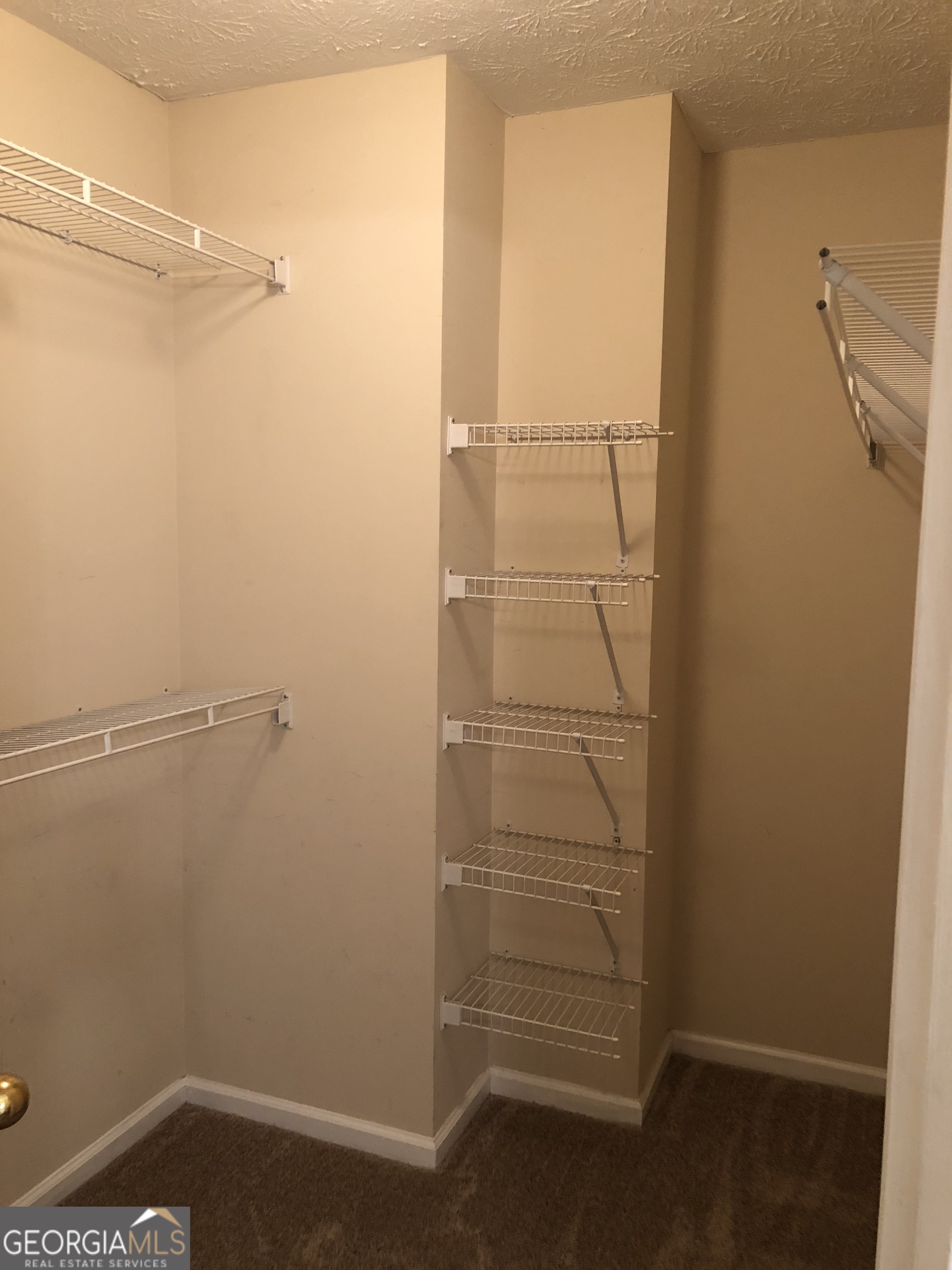 55 Jill Lane Covington, GA 30016 - Photo 28 of 52 a view of walk in closet