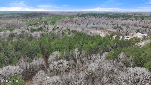$35,000 | Stump Bridge Road, Camden, MS 39045