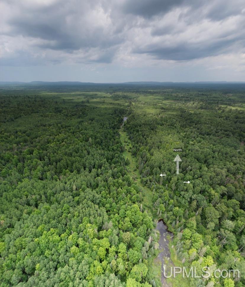 Tbd Gauthier Road Bruce Crossing, MI 49912 - Photo 10 of 18