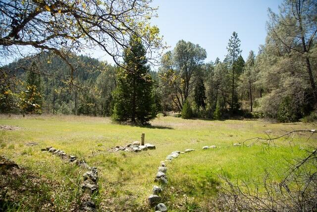 10041 Highway 299, Unit 299 Burnt Ranch, CA 95527 - Photo 36 of 44