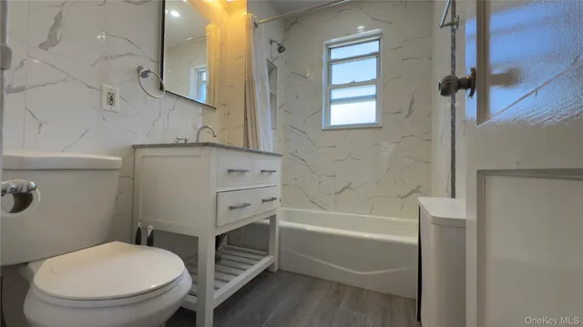 a bathroom with a toilet and a bathtub