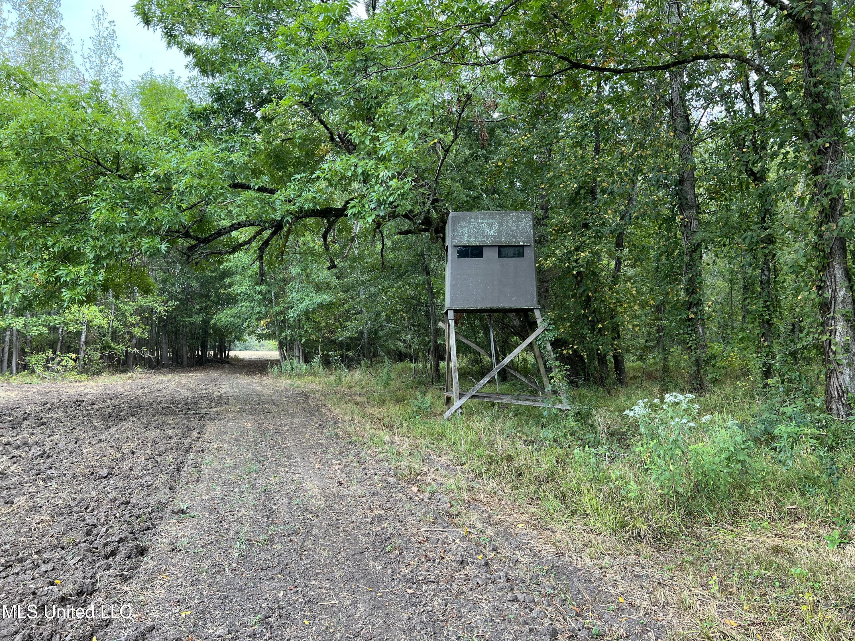 3260 Blackstock Road Vicksburg, MS 39183 - Photo 15 of 30 IMG_0101