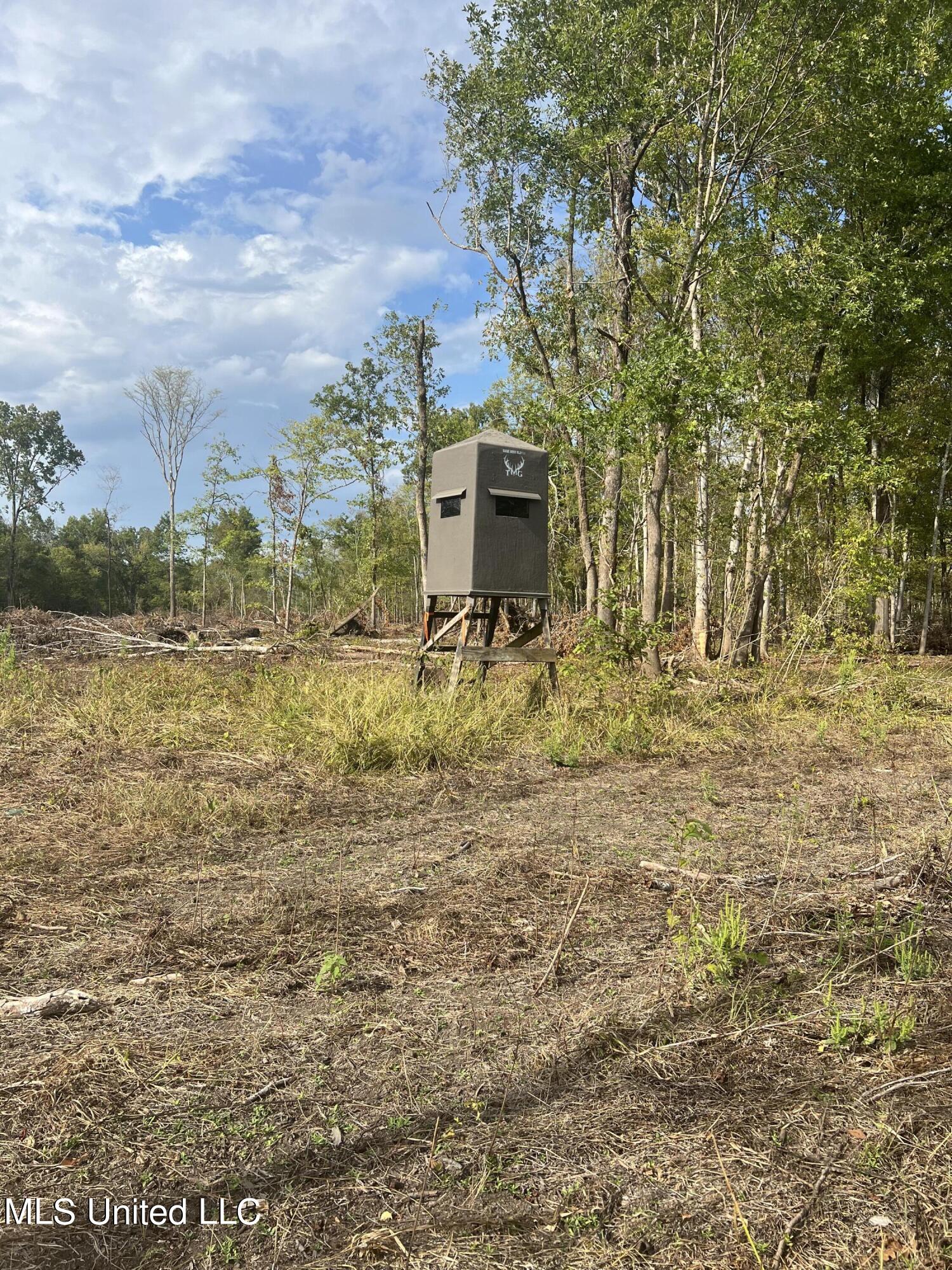3260 Blackstock Road Vicksburg, MS 39183 - Photo 17 of 30 IMG_0103