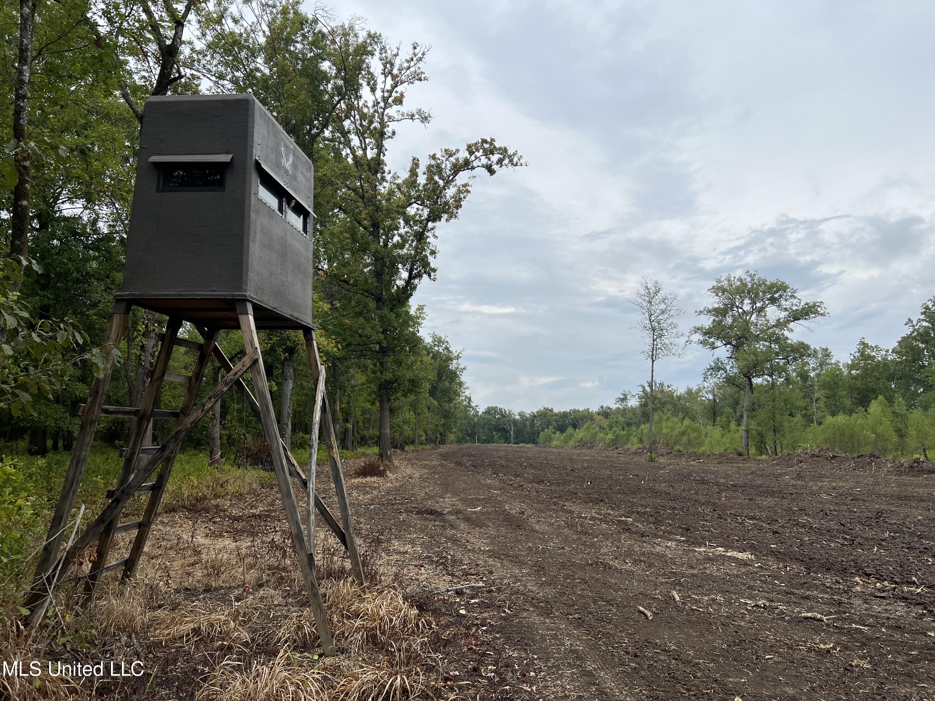 3260 Blackstock Road Vicksburg, MS 39183 - Photo 24 of 30 IMG_0076