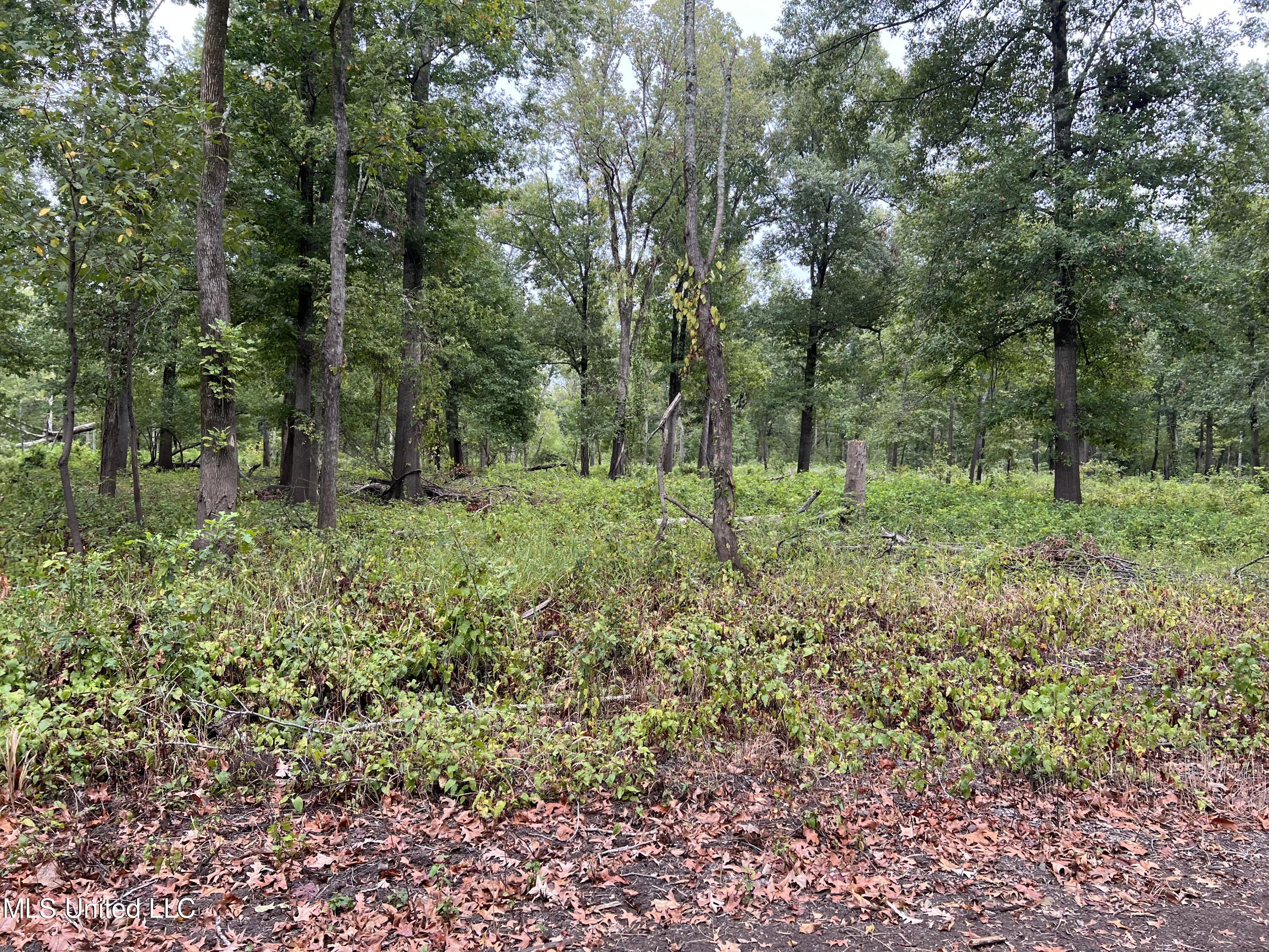 3260 Blackstock Road Vicksburg, MS 39183 - Photo 26 of 30 IMG_0071