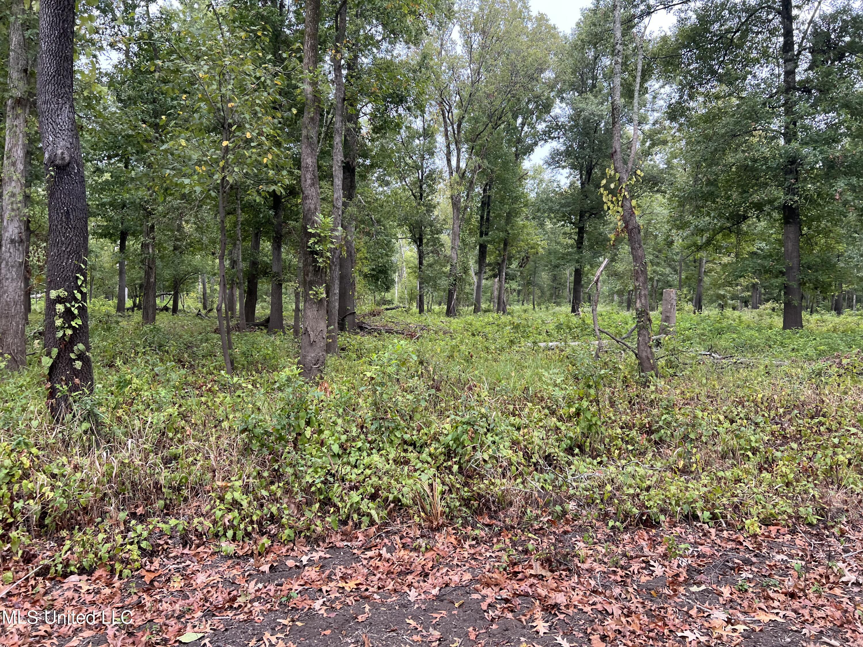 3260 Blackstock Road Vicksburg, MS 39183 - Photo 27 of 30 IMG_0069