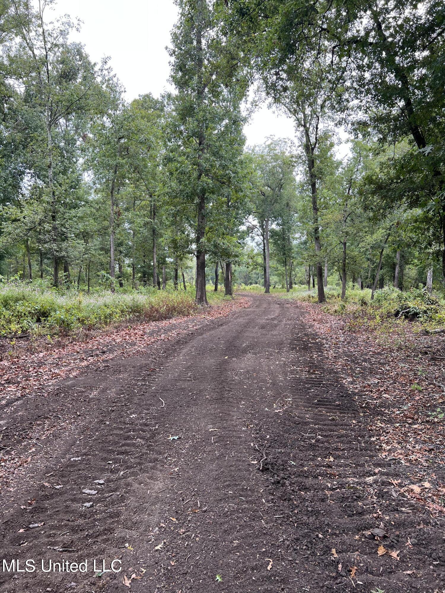 3260 Blackstock Road Vicksburg, MS 39183 - Photo 28 of 30 IMG_0068