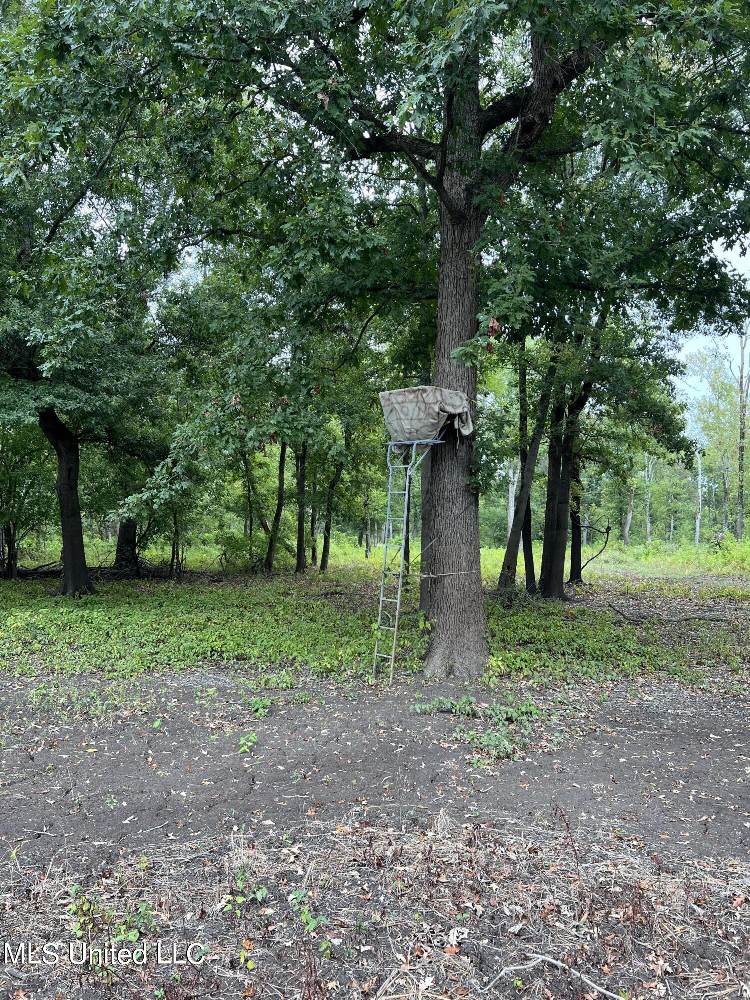 3260 Blackstock Road Vicksburg, MS 39183 - Photo 29 of 30 IMG_0066