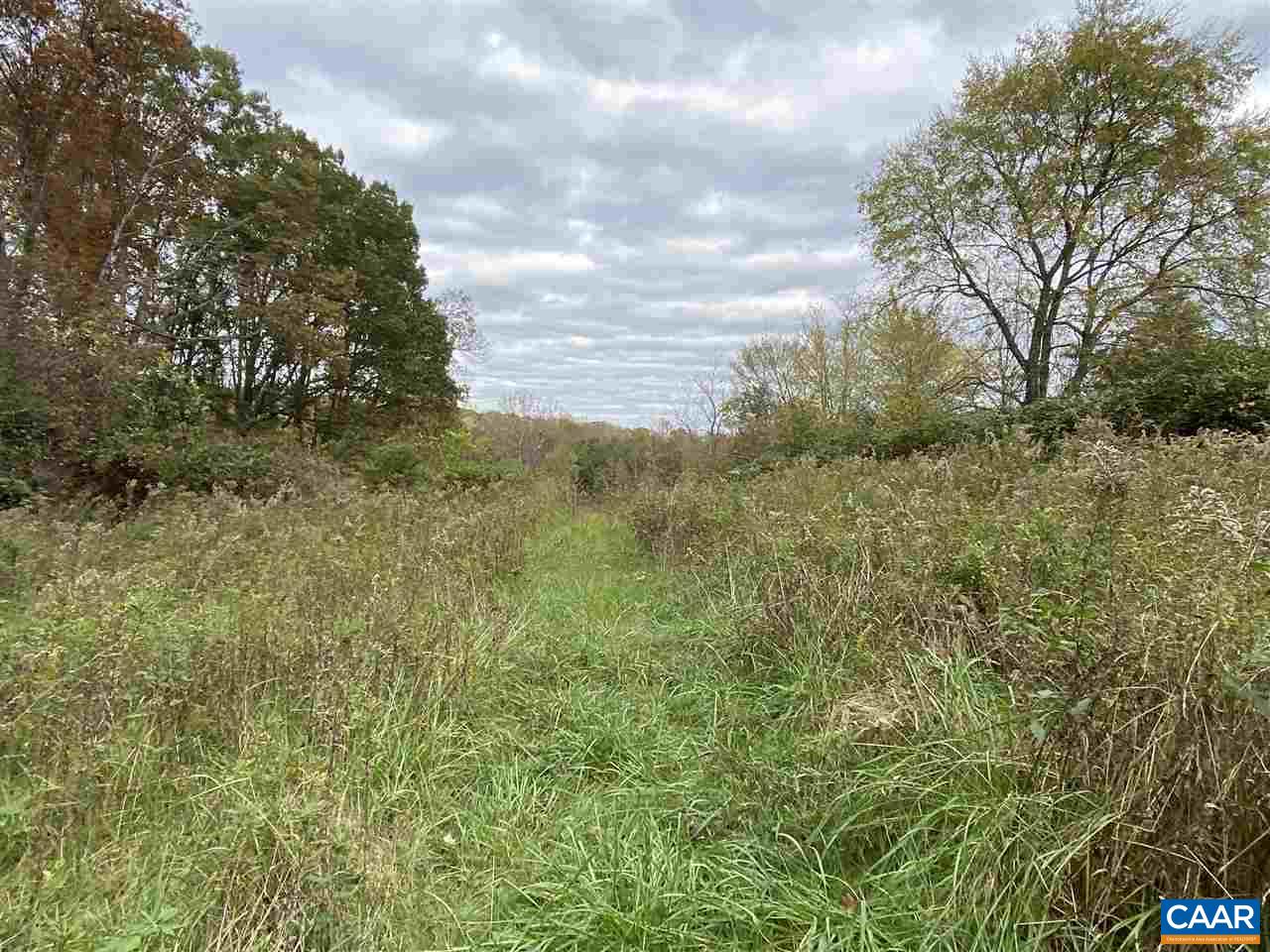 38 George James Loop Radiant, VA 22732 - Photo 23 of 24 a view of a field with trees