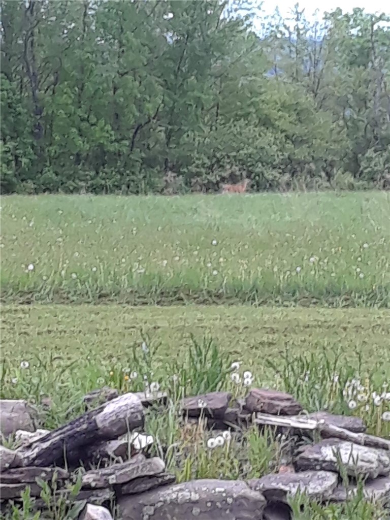Hill Road Oxford, NY 13830 - Photo 14 of 15 Gallery Image 14