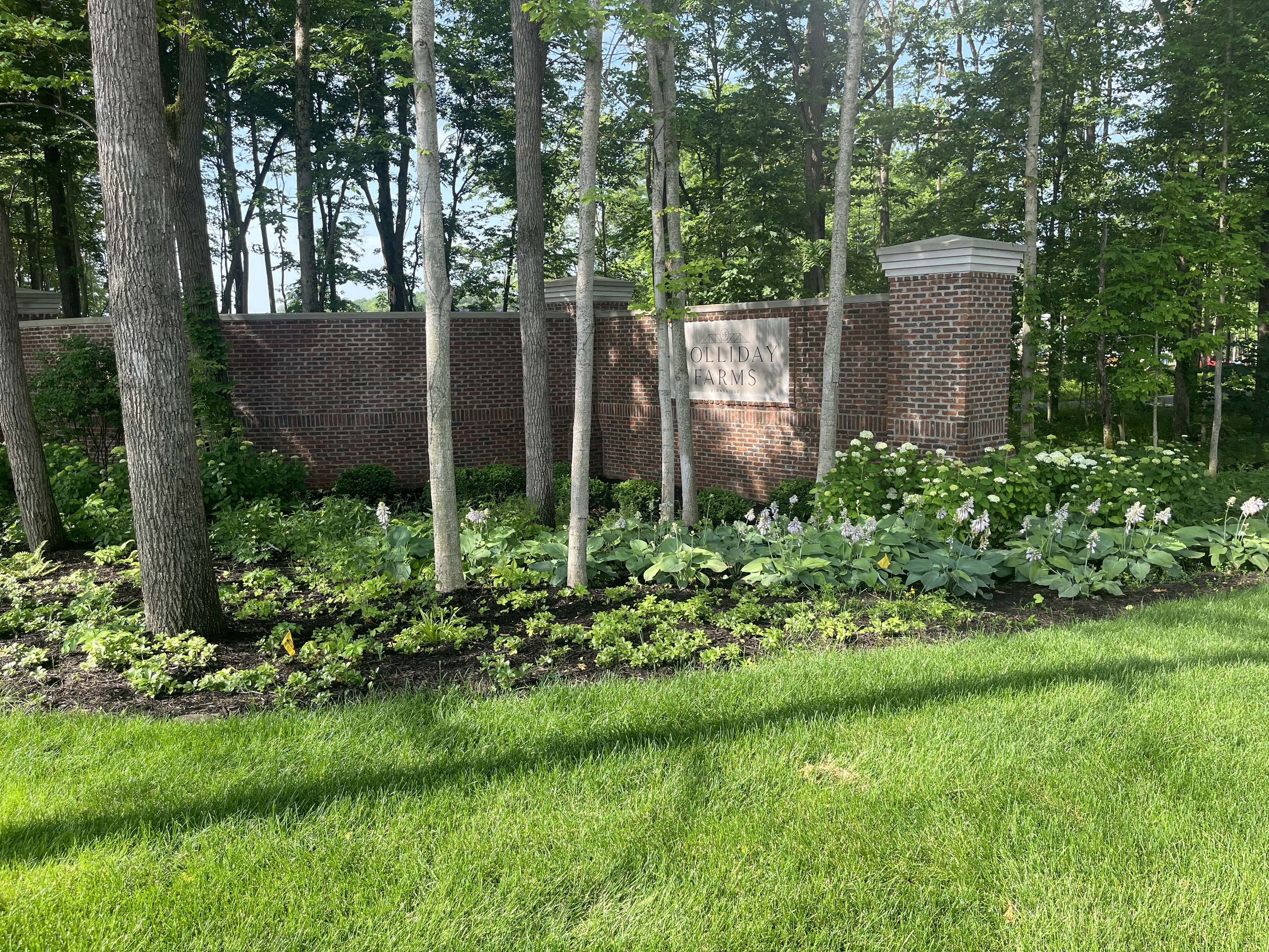 3664 CHERWELL DR  