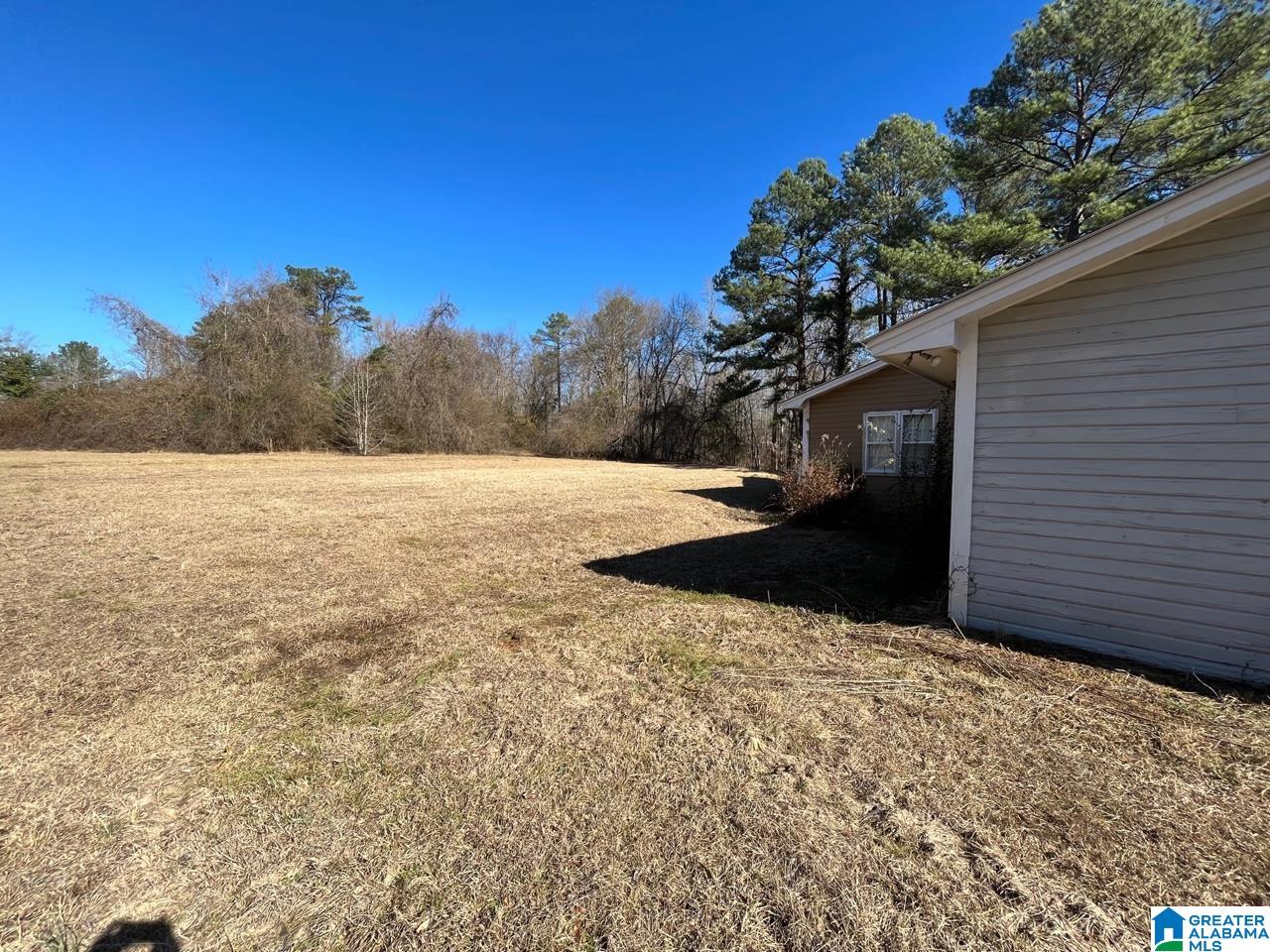 45535 Highway 17 Vernon, AL 35592 - Photo 7 of 15