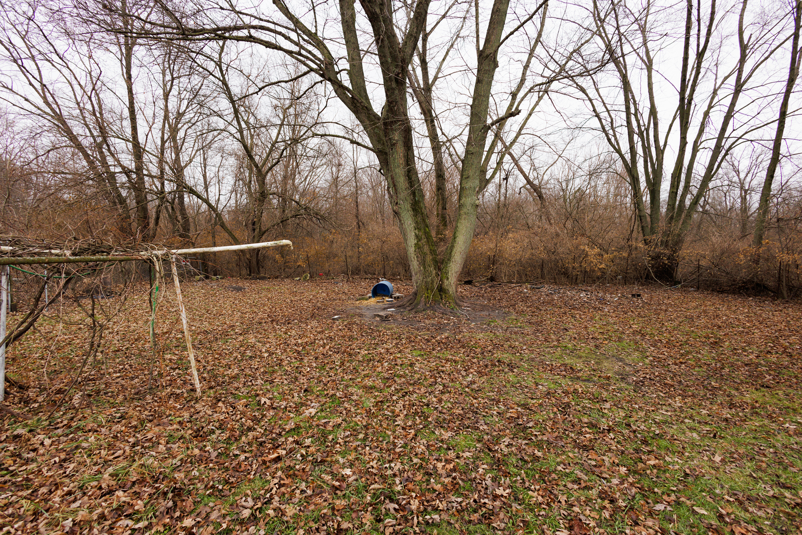 12878 East 2310S Road Pembroke Township, IL 60958 - Photo 13 of 44 a backyard of a house with lots of green space