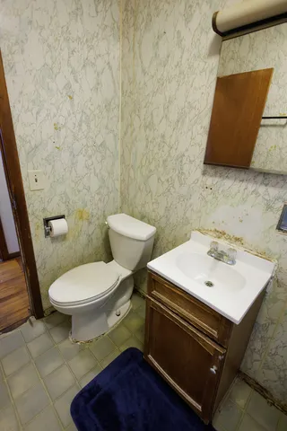 a bathroom with a sink a toilet and a mirror