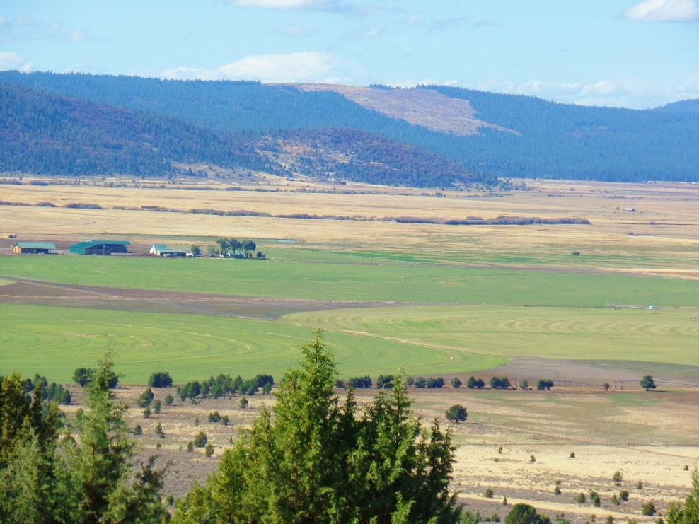 545-795 Punkin Center Road Bieber, CA 96009 - Photo 1 of 35 20150323203019378669000000-o