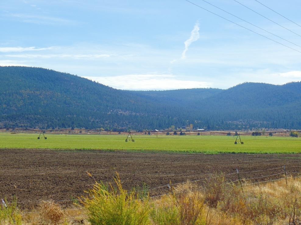545-795 Punkin Center Road Bieber, CA 96009 - Photo 13 of 35 20150323203615715945000000-o
