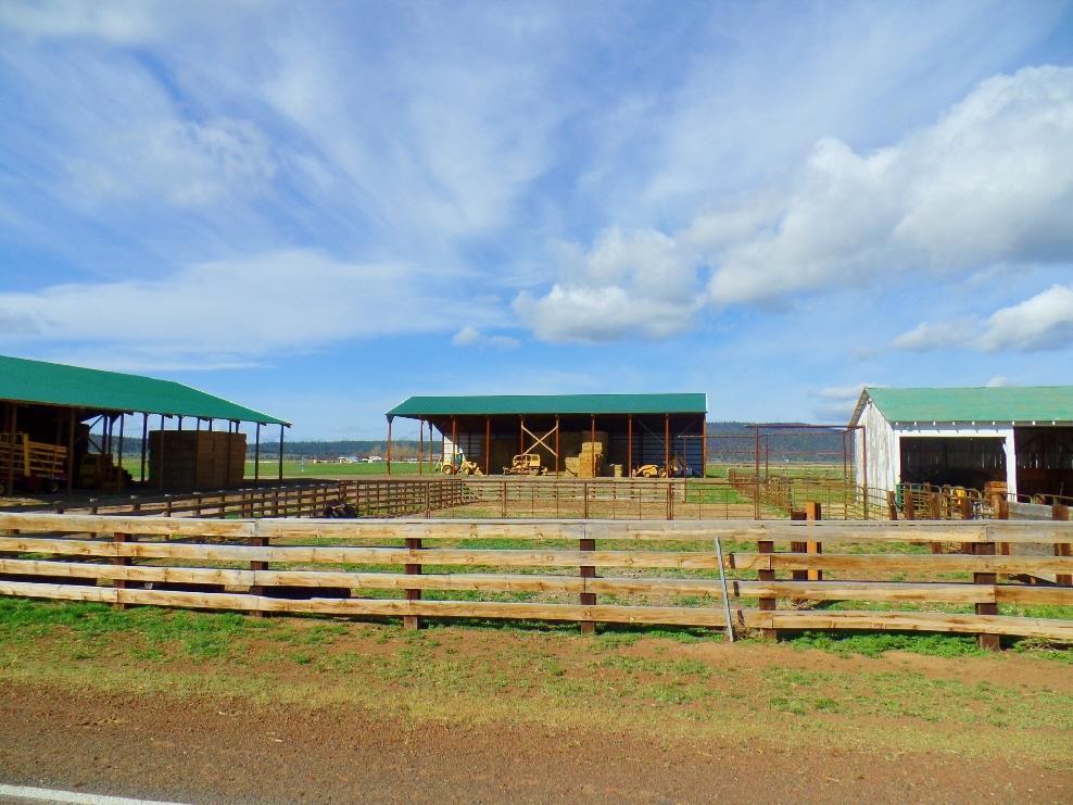 545-795 Punkin Center Road Bieber, CA 96009 - Photo 27 of 35 20150323204042784794000000-o