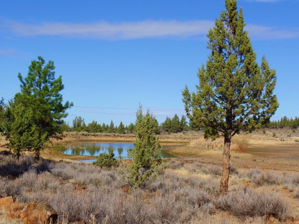 545-795 Punkin Center Road Bieber, CA 96009 - Photo 9 of 35 20150323203347567876000000-o