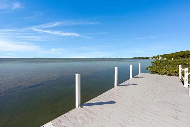 a terrace view with wooden floor