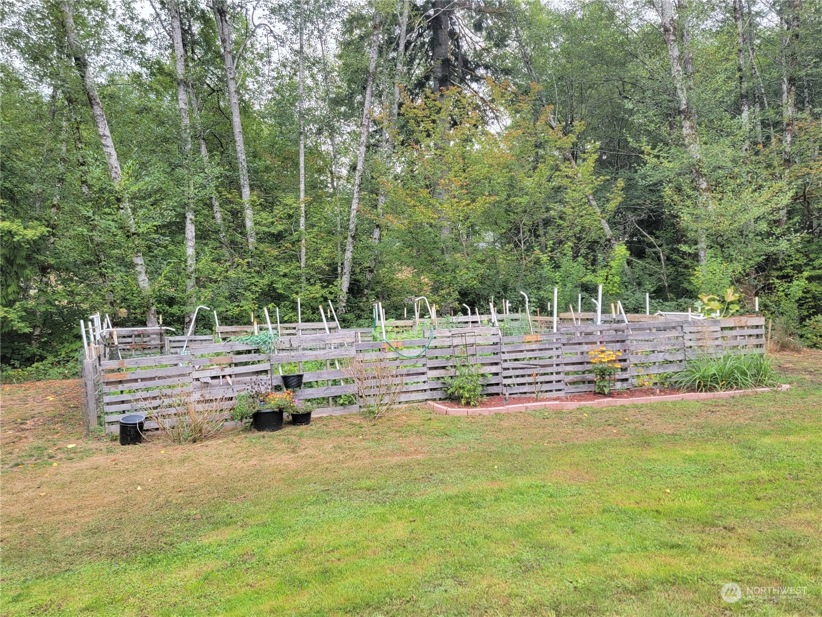 51 Strawberry Hill Road Elma, WA 98541 - Photo 27 of 34 Gallery Image 27