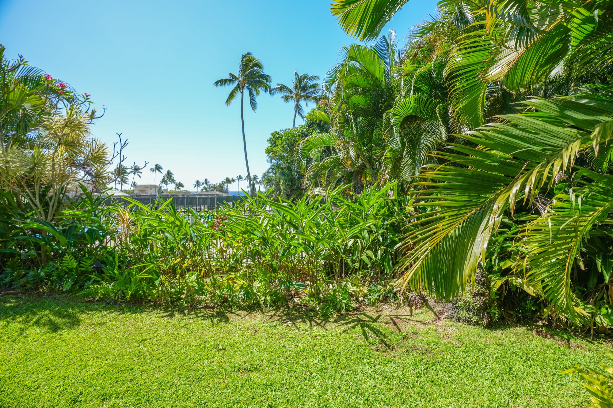 1901 Poipu Road, Unit 112 Koloa, HI 96756 - Photo 17 of 21 a view of a garden