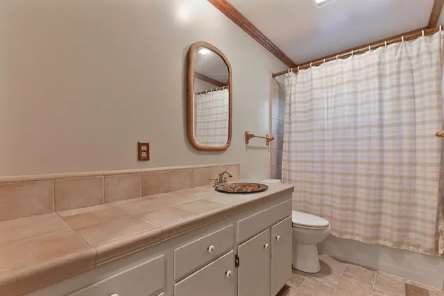 a view of a yard with plants and trees