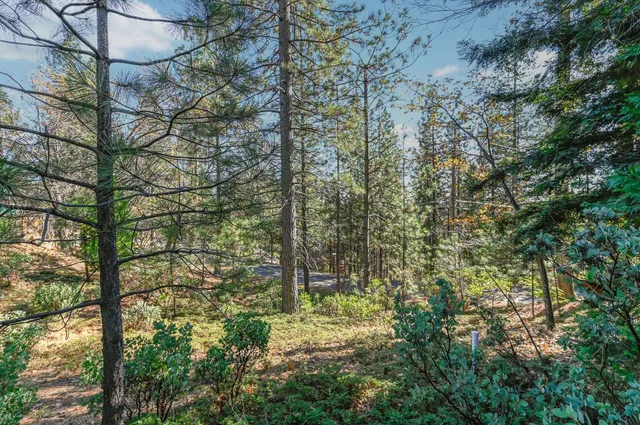 $629,000 | 2637 Ruth Lane, Arnold, CA 95223