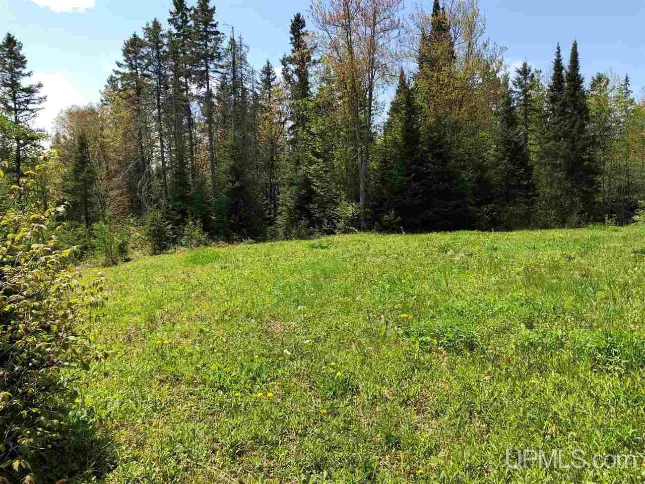 79.99-ac Off West Harding Road Bessemer, MI 49911 - Photo 32 of 33