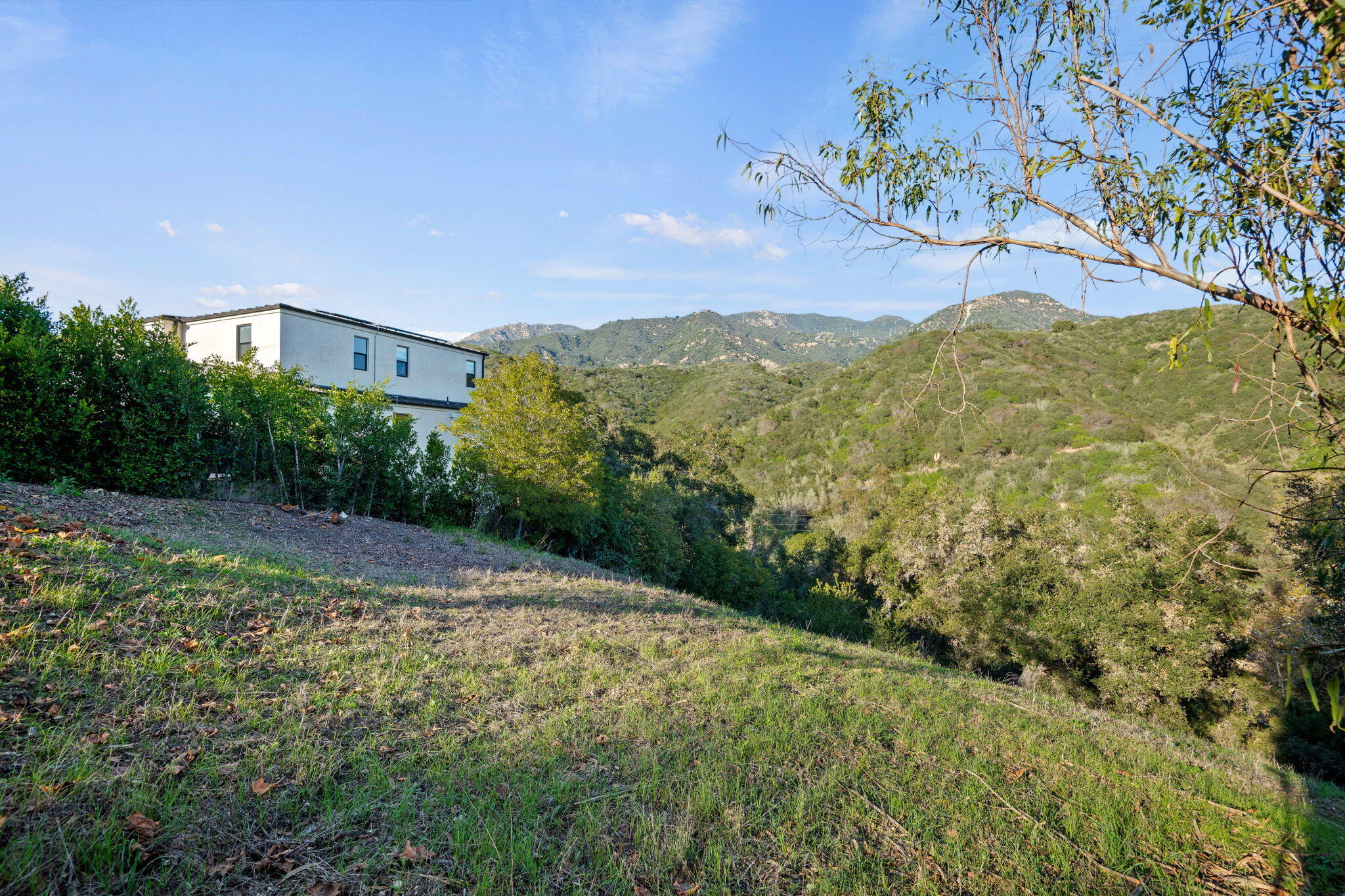 330 Sherman Road Santa Barbara, CA 93103 - Photo 2 of 13 a view of a big yard with large trees