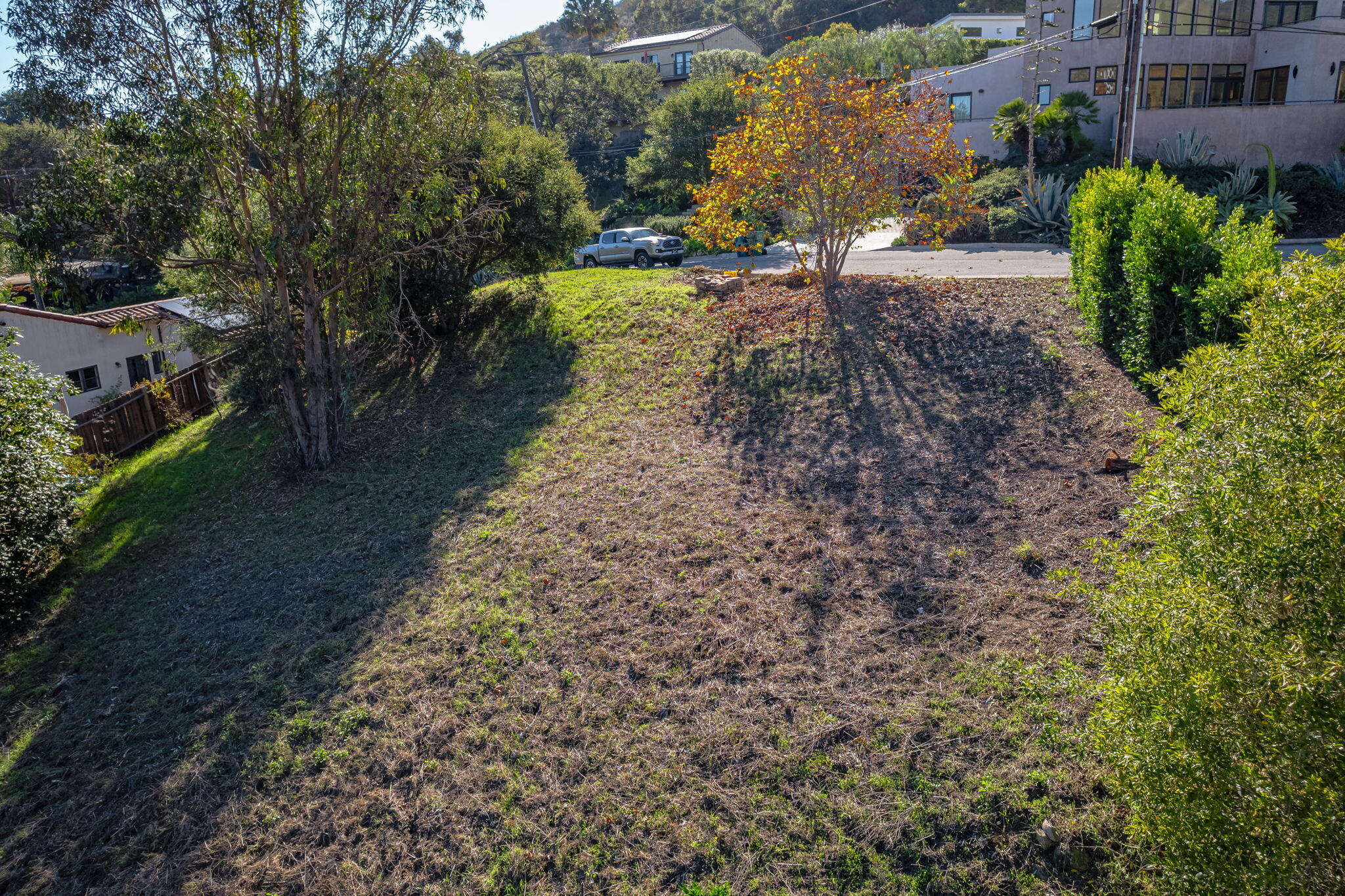 330 Sherman Road Santa Barbara, CA 93103 - Photo 10 of 13 a view of a yard with plants and large trees