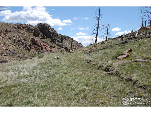 a view of a dry yard
