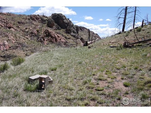 a view of a dry yard with trees