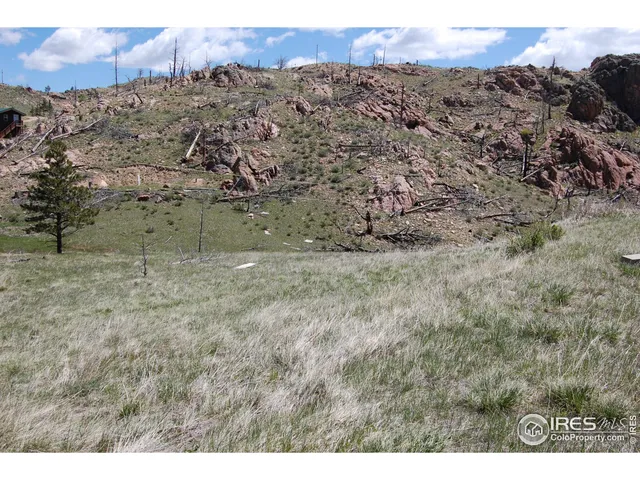 a view of a dry yard