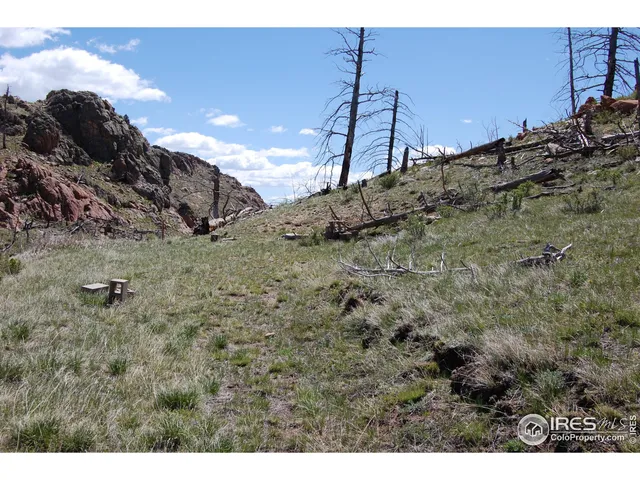 a view of a dry yard with lots of green space