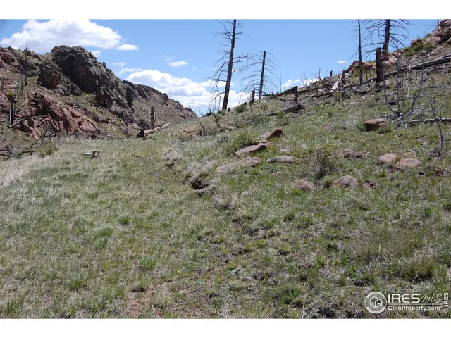 a black and white photo of a lake