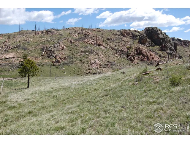 a view of a dry yard