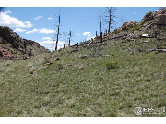 a view of a dry field with mountains in the background