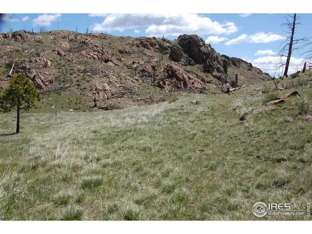 a view of a dry yard with wooden fence