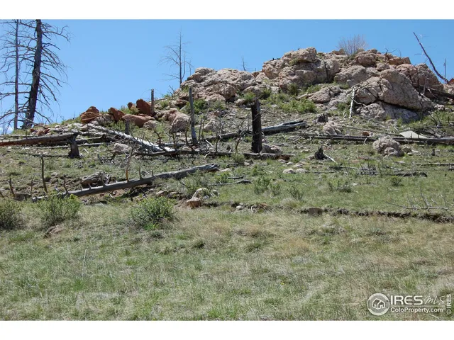 a view of a backyard of the house