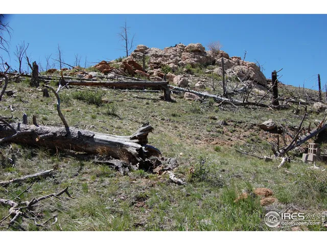 a view of a dry yard with wooden fence