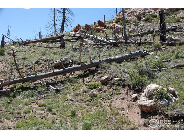 a view of a dry field