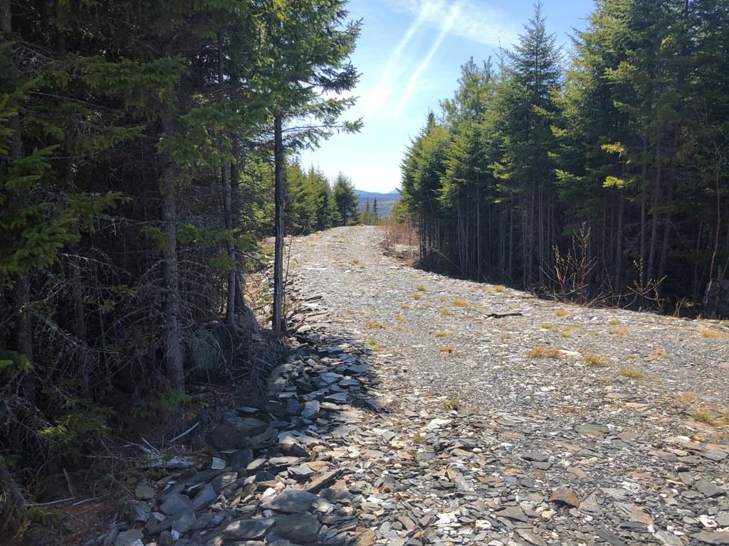 Tbd Tbd Alpine Ridge, Unit LOT 11 Greenville, ME 04441 - Photo 26 of 32 IMG_1676