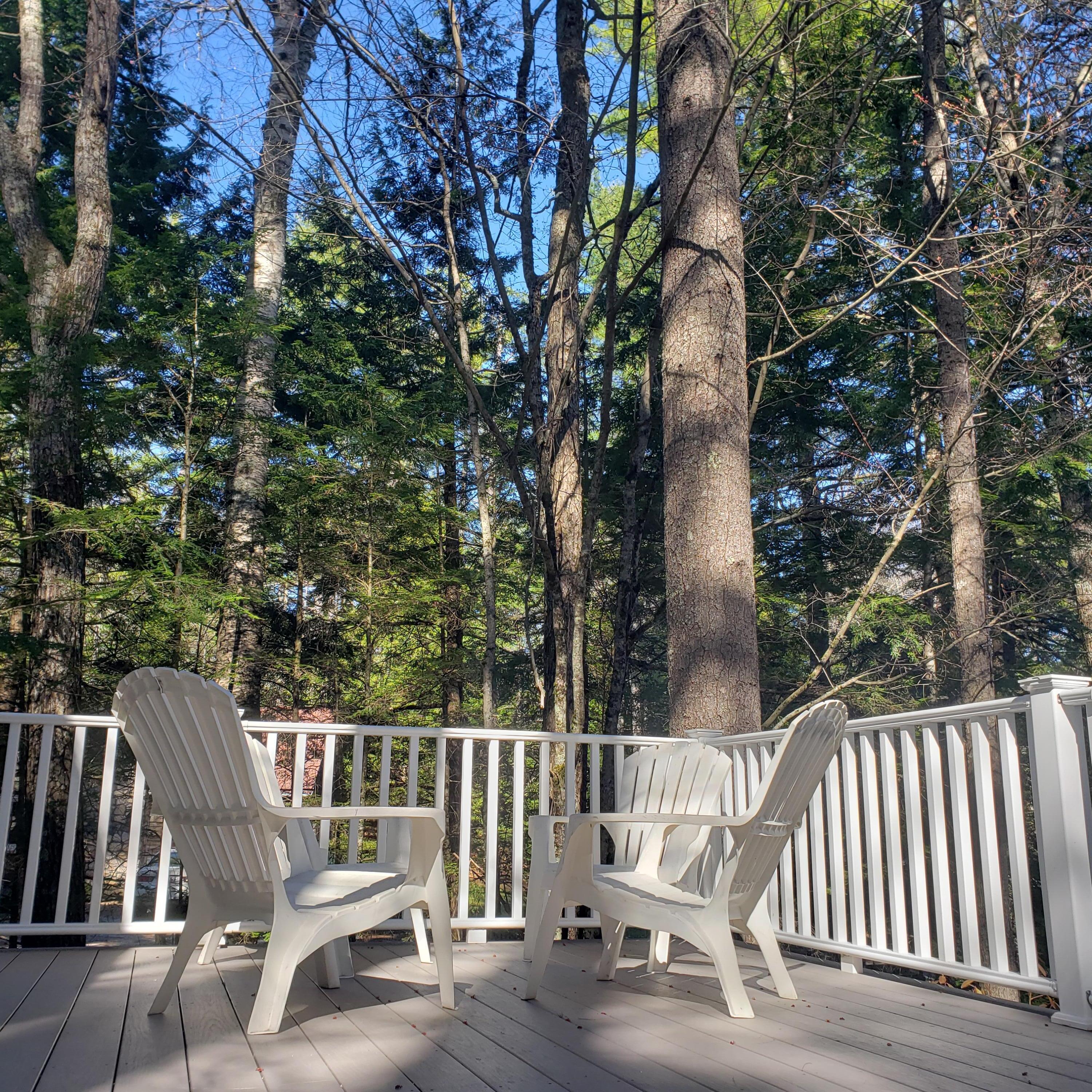 287 Northwest River Road Sebago, ME 04029 - Photo 69 of 106 20260428_160750